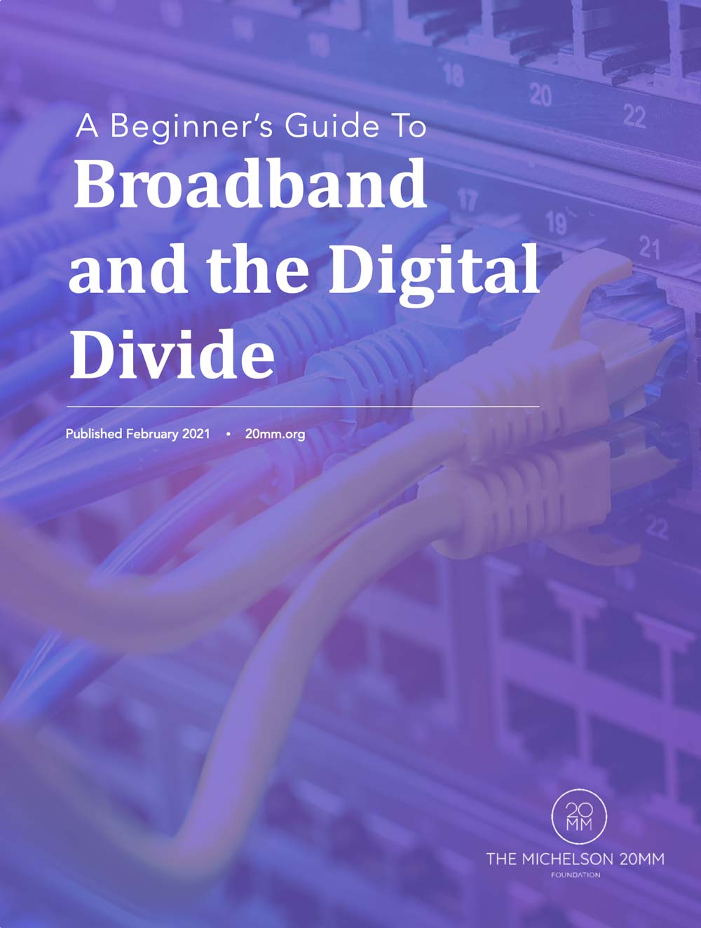 Broadband and the Digital Divide