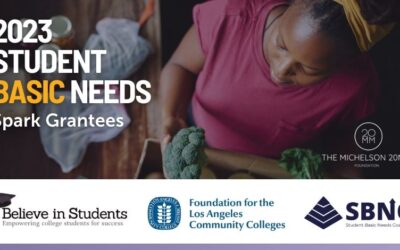 Get to Know the 2023 Student Basic Needs Spark Grantees and Their Projects